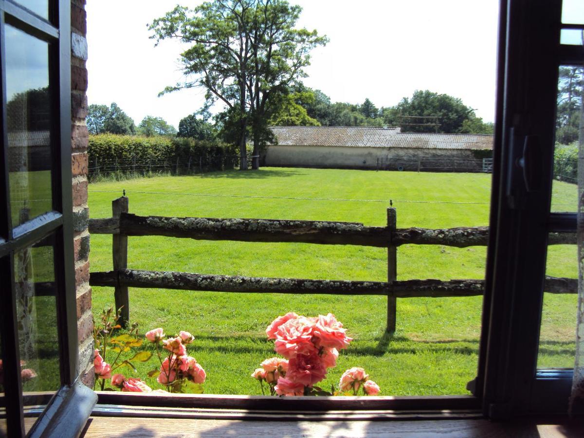 Bed and Breakfast La Pastorale La Puisaye Екстер'єр фото