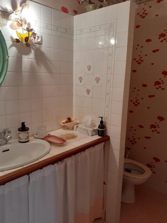 Bed and Breakfast La Pastorale La Puisaye Екстер'єр фото