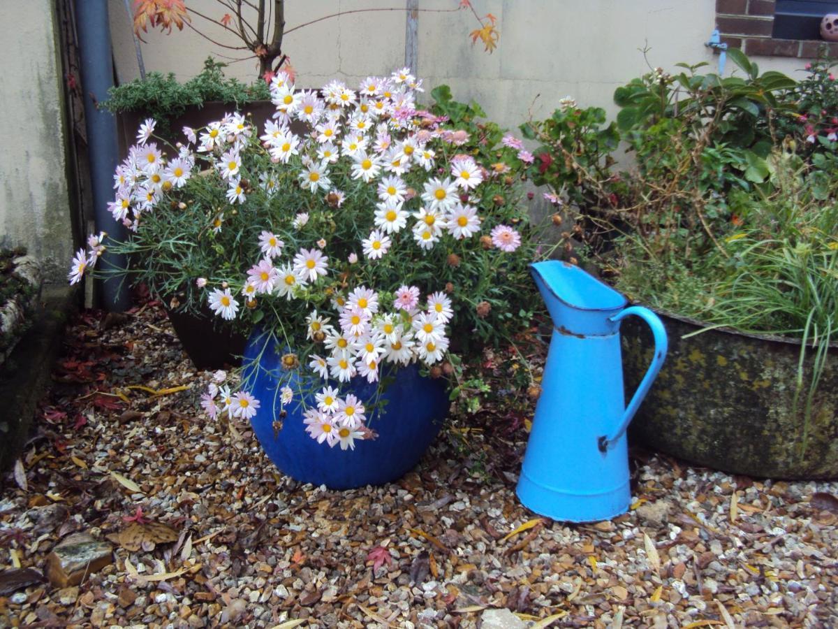 Bed and Breakfast La Pastorale La Puisaye Екстер'єр фото